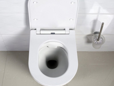 Как выбрать чашу для унитаза