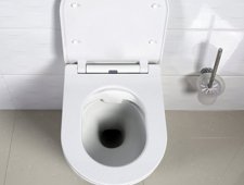 Как выбрать чашу для унитаза