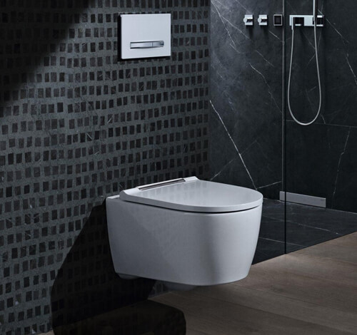 унітази geberit