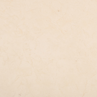 Ceramica De LUX Плитка G30320 MARMI MARFIL 102543