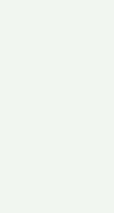 Ceramica De LUX Плитка G30600 BASIC BLANCO 160800