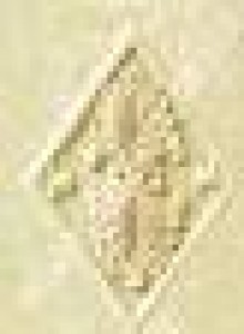 Ceramica De LUX Плитка BXL-2262C DEC LEAVES GLOSSY декор 102555