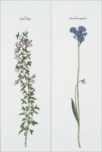 Flaviker Плитка Reminessance REDI105 GLACE BOTANIQUE декор2 179926