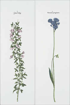 Flaviker Плитка Reminessance REDI105 GLACE BOTANIQUE декор2 179926