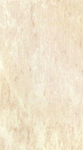 Peronda VICTORIA-B ПлИТКА НАСТЕННАЯ 140736