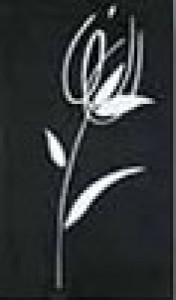 Peronda Nobel T.I.BLOOM-N фриз 94922