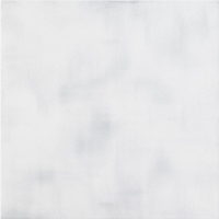 Imola HALL 30L 1 53м2/уп Плитка напольная 175517