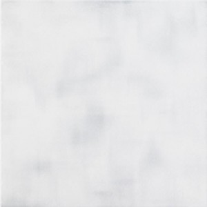 Imola HALL 30L 1 53м2/уп Плитка напольная 175517