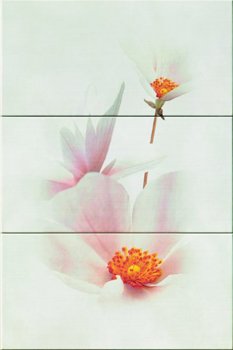 Imola Vartan FRAGRANCE 3 декор3 110681