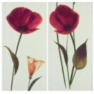 Gres de Valls Плитка Декор FIORELLA NARANJA 143702