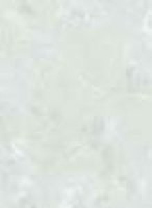 Lasselsberger Плитка ZIL 1034-0105 св-зел (ЗИЛИЯ) 163238