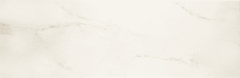 Pamesa Carrara-Marquina CARRARA Плитка настенная 153691