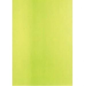 Sanchis STYLE PISTACHO Плитка настенная 109989