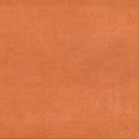 Dual Gres Плитка SILK PAV. TEJA 205530
