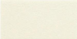 Adex Плитка Modernista ADMO1020 LISO PB C/C MARFIL 153015