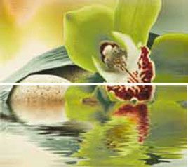 Novogres Плитка DEC DOLCEVITA VITEK-2 декор2 193857