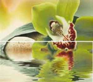 Novogres Плитка DEC DOLCEVITA VITEK-2 декор2 193857