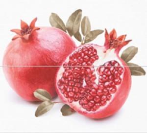 Novogres Плитка DEC DOLCEVITA DHAKA-2 декор2 192018