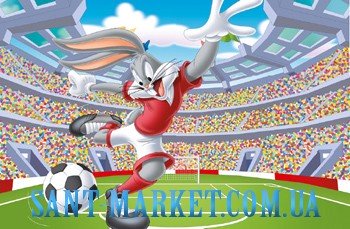 Novogres Плитка Warner Brothers DEC STADIUM-6 декор6 242325