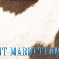 Novogres Плитка Planet DECOR TOGO декор 207593