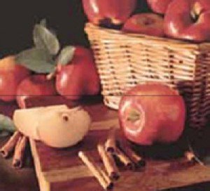 Novogres Плитка DEC FRESH MACAN-2 декор 205718