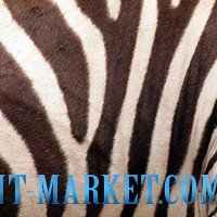 Novogres Плитка Planet DECOR BENIN декор 207591