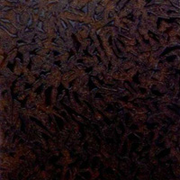 Venus Ceramica Плитка ROYAL BROWN VAN DYCK 131353