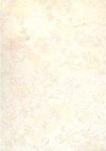 Atis Плитка RW43115 [TAPETE LIGHT] 141954