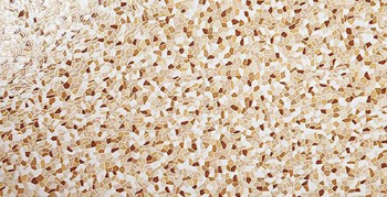 Rocersa Pedrera MARRON Плитка настенная 244028