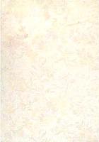 Atis Плитка RW43115 [TAPETE LIGHT] 141954