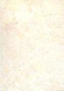 Atis Плитка RW43115 [TAPETE LIGHT] 141954