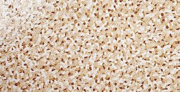 Rocersa Pedrera MARRON Плитка настінна 244028