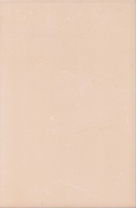 Церсаніт Валенсія 20x30 браун