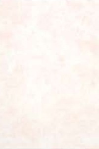 Церсаніт Аміра беж 20х30