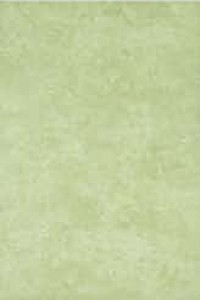 Церсаніт Аміра зелений 20х30