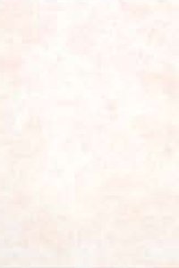 Церсаніт Аміра беж 20х30