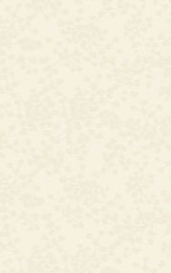 Церсанит Лирика 30x45 Бьянко