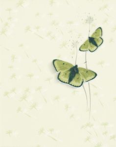 декор Церсанит Альмерия 25x35 Зефир