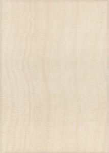 Церсанит Санта 25x35 крем