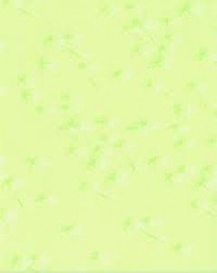 Церсаніт Альмерія 25x35 Верде