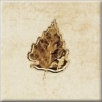 Опочно Есень сквер 6 декор 10х10