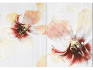 Церсаніт Лорена декор крем 50х35