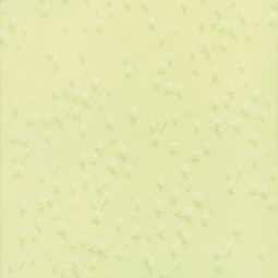 Церсаніт Алмере верде 33х33