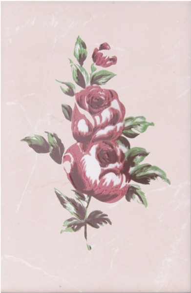 Церсанит Валенсия декор Цветок роса 20x30