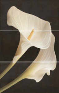 Ape ARMONIA DEC SET (3) TROPICAL BLANCO декор3 плитка настенная 236262