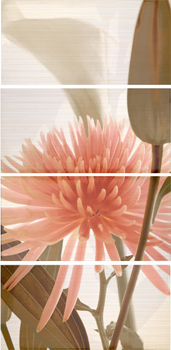 APE Elegance DEC SET EUPHORIA CREMA декор4 Плитка настенная 145515