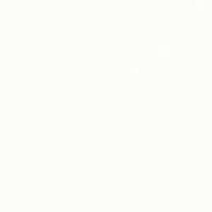 Megagres Плитка SUPER WHITE 6F-00 26113