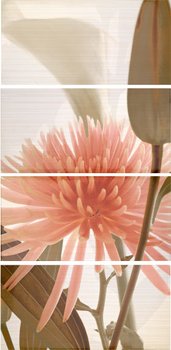 APE Elegance DEC SET EUPHORIA CREMA декор4 Плитка настінна 145515