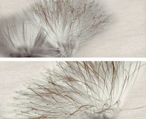 Ape DEC SET (2) BASE ACERO декор2 Плитка настенная 175248