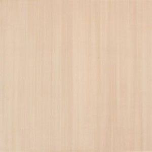 APE EXPERIENCE CAPUCCINO Плитка для підлоги 92456